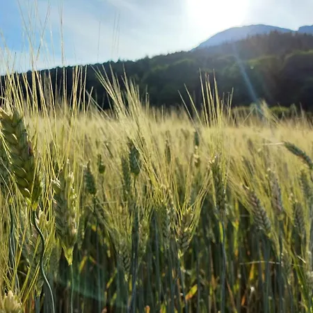 Panoramal By Interhome アパート