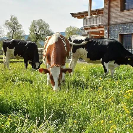 Apartmán Panoramal By Interhome *