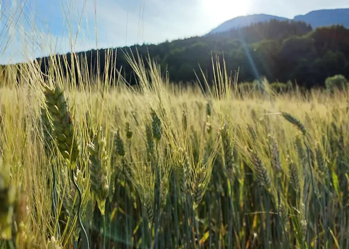 Panoramal By Interhome アパート