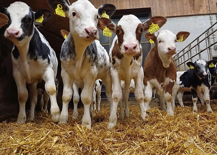 アパート Panoramal By Interhome Langkampfen