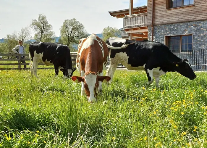 アパート Panoramal By Interhome *