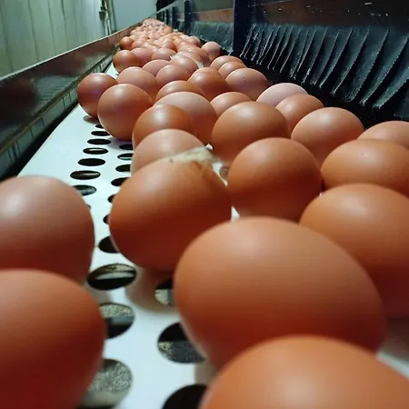 Panoramal By Interhome Daire